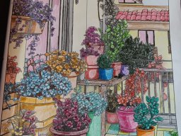 whatsapp bild 2024-12-29 um 13.37.58_b89718bc